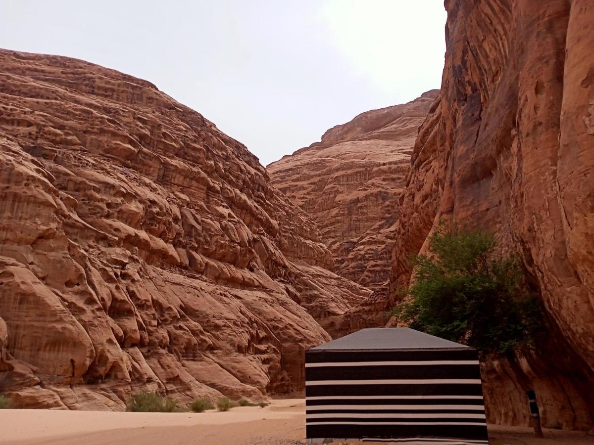 Shahrazad Desert, 와디럼 외부 사진