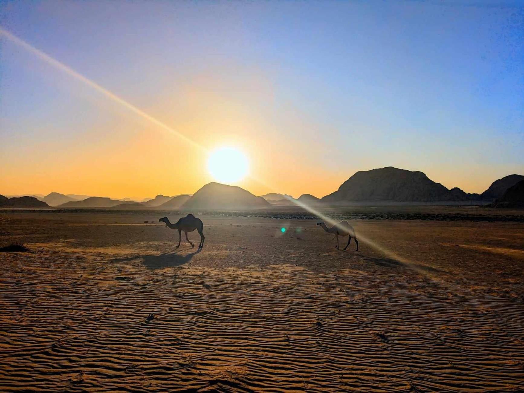 Shahrazad Desert, 와디럼 외부 사진